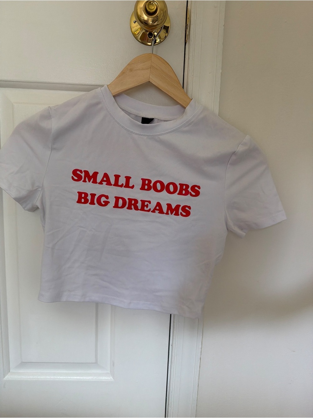 White Crop Top Small Boobs Big Dreams